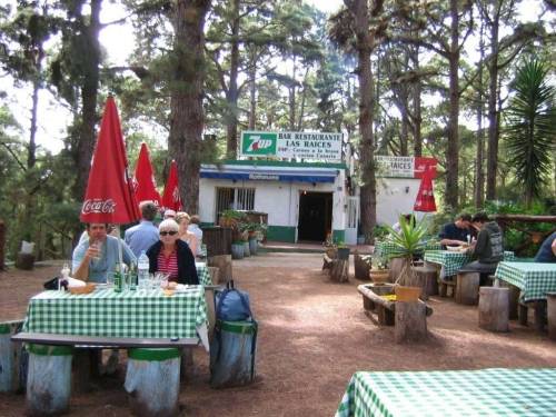 Un petit restaurant en
        pleine forêt